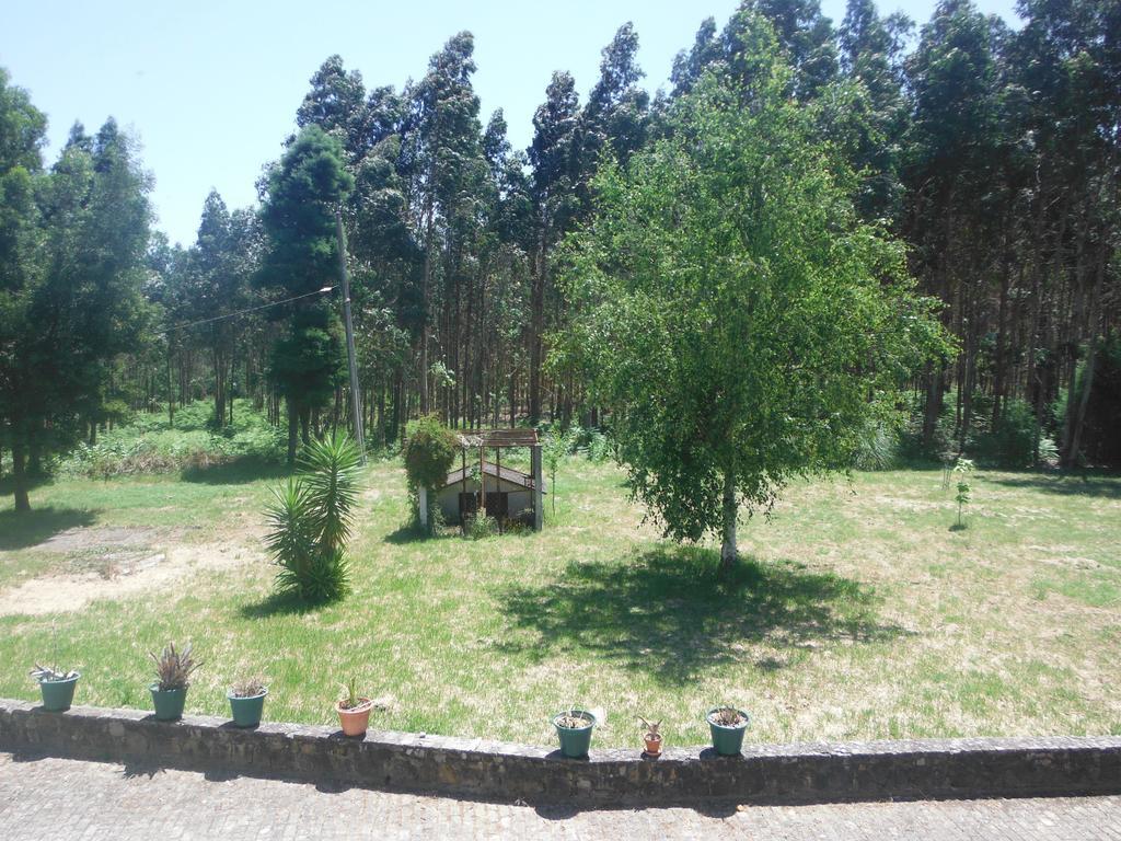 Hotel Alameda Albergaria-a-Velha Luaran gambar